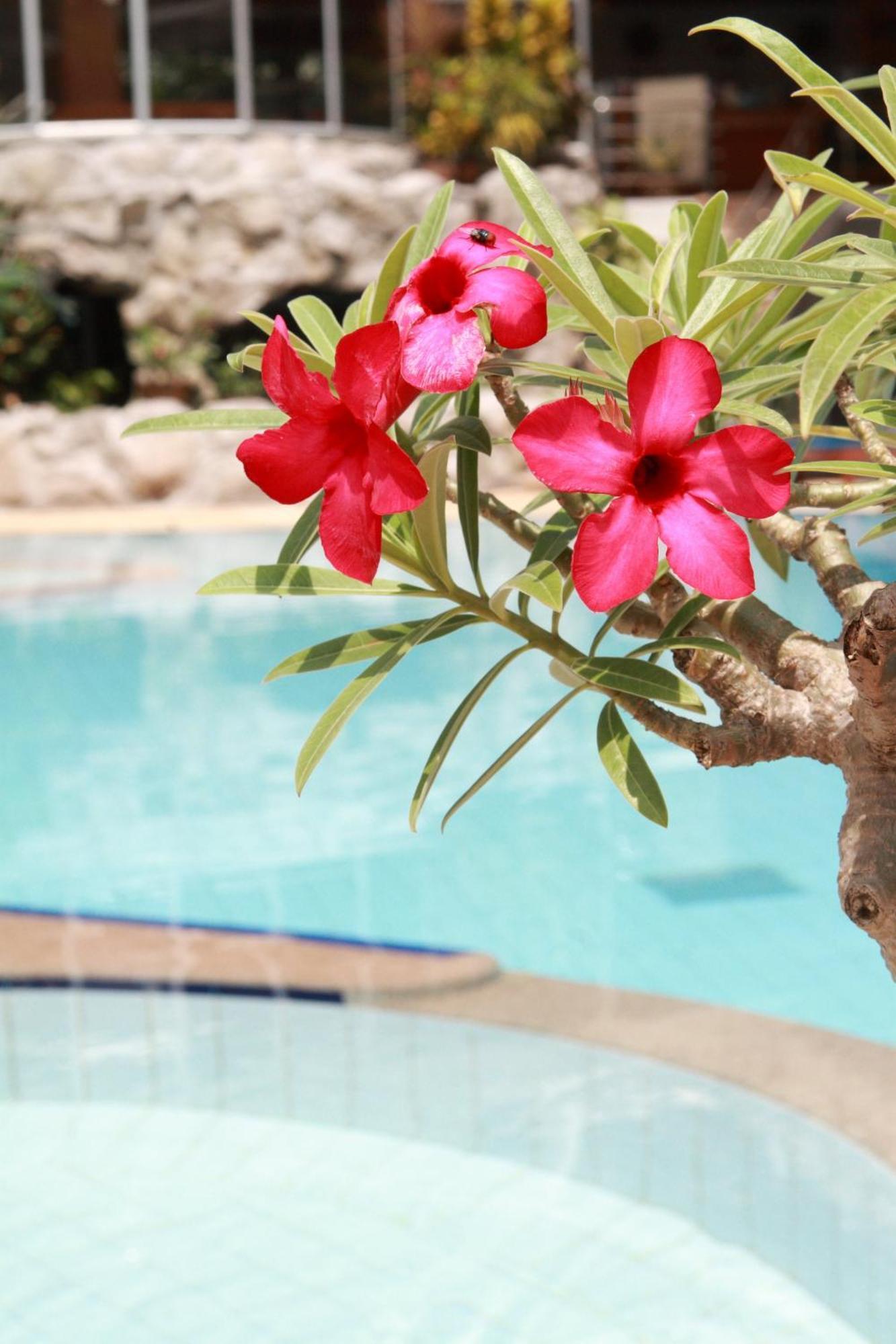 Samui First House Отель Чавенг